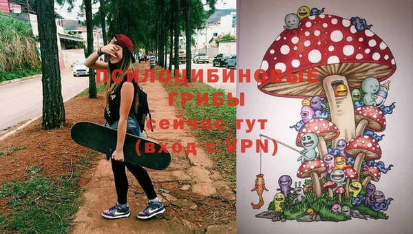 амф Магадан
