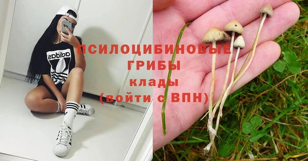 амф Магадан